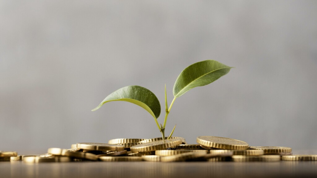 Conheça estratégias para economizar dinheiro em 2023 1 como economizar scaled 1