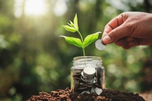 Mão depositando moeda em pote de vidro cheio de dinheiro com planta crescendo, simbolizando o crédito verde e o investimento em práticas sustentáveis.