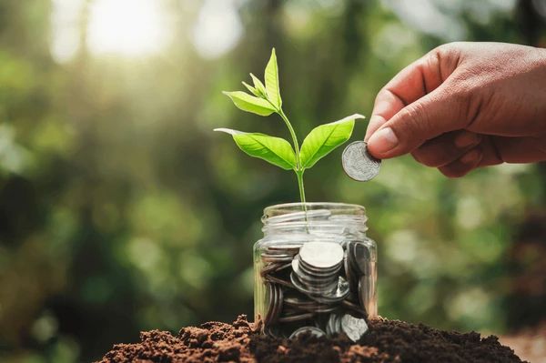 Crédito verde: como funcionam os empréstimos voltados para práticas sustentáveis? 2 Mão depositando moeda em pote de vidro cheio de dinheiro com planta crescendo, simbolizando o crédito verde e o investimento em práticas sustentáveis.
